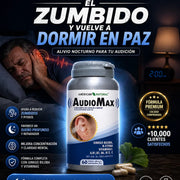 Vista 2